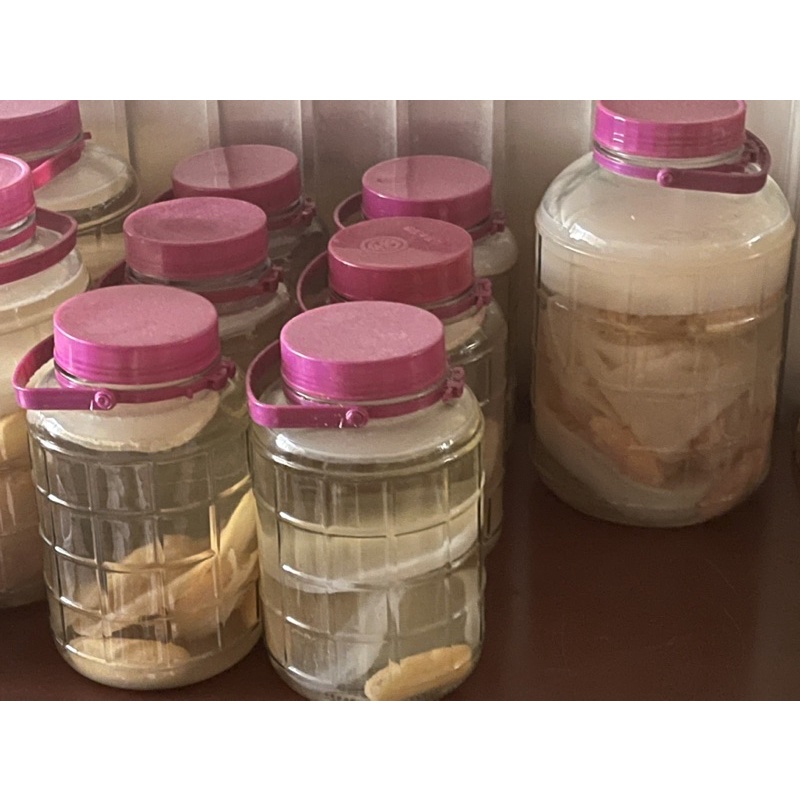 Giấm nuôi + con giấm dày khỏe