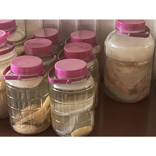 Giấm nuôi + con giấm dày khỏe
