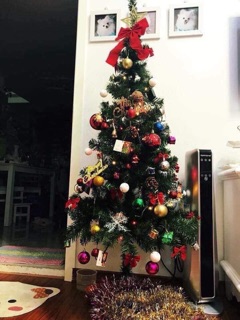 Cây Thông Noel 1,5m full phụ kiện