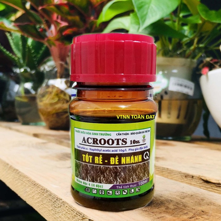 Phân Bón Lá ACROOTS 10SL - Tốt Rễ Đẻ Nhánh 100ml