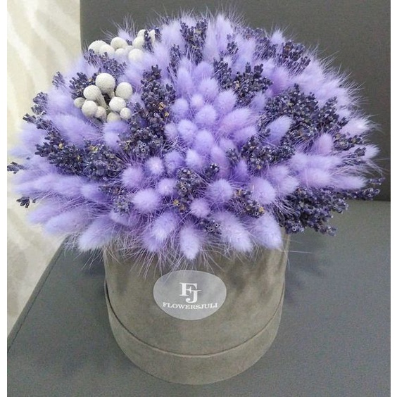 Bó 10 cành hoa Đuôi Thỏ Bunny Tails cắm lọ trang trí phòng