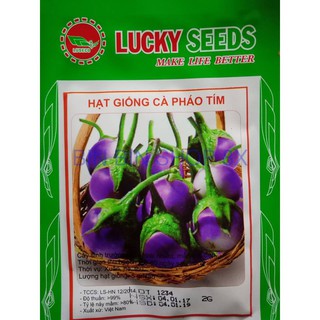 Hạt giống cà pháo tím (2gr)