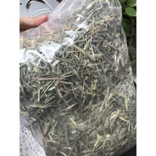 Cỏ timothy Canada 1kg