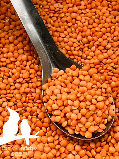 1kg đậu lăng đỏ  - xuất xứ: Canada 🇨🇦