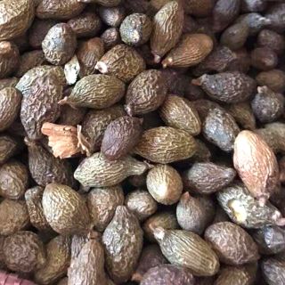100g Hạt đười ươi (lười ươi)
