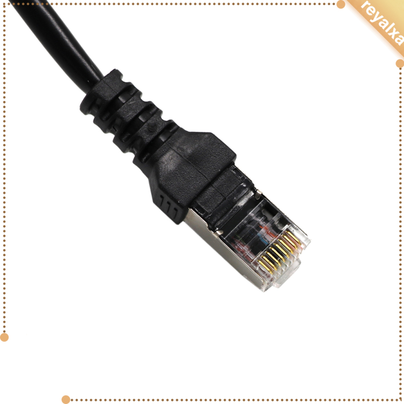 Bộ Chia Cổng Mạng Lan 1 Male Sang 3 Female 8p8c | BigBuy360 - bigbuy360.vn