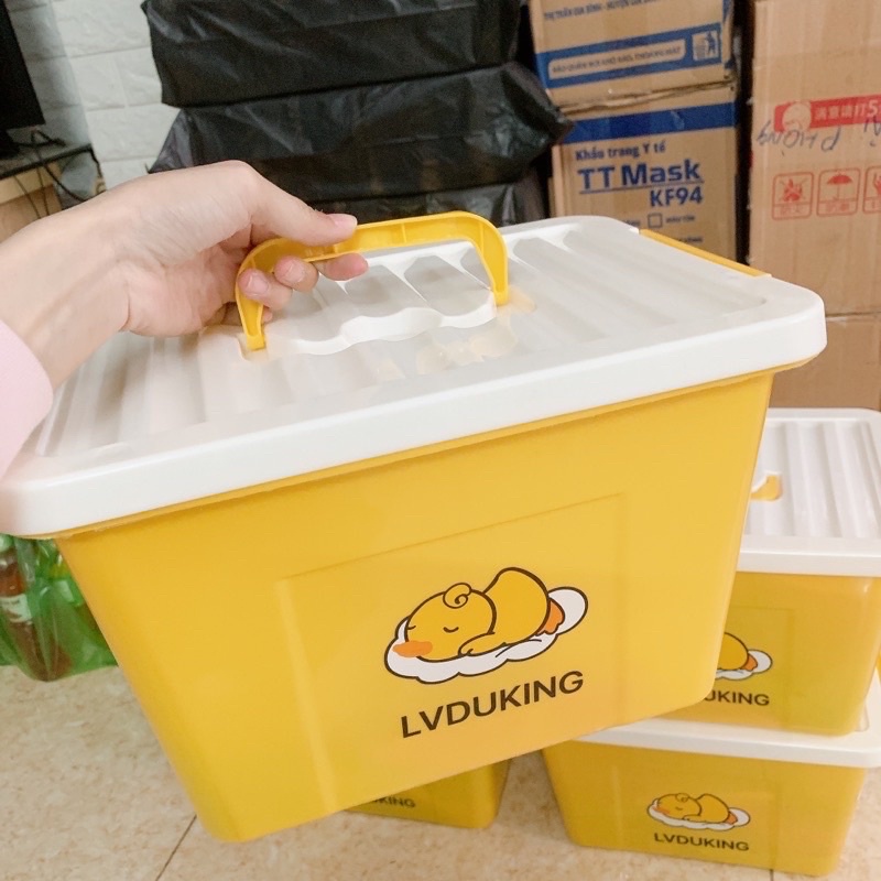 Thùng giấy ướt vịt vàng dai mềm siêu thích