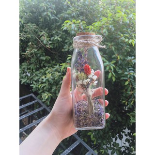 Lọ nụ hoa Lavender Pháp  trang trí (như hình)