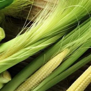 HẠT GIỐNG NGÔ BAO TỬ THÁI LAN