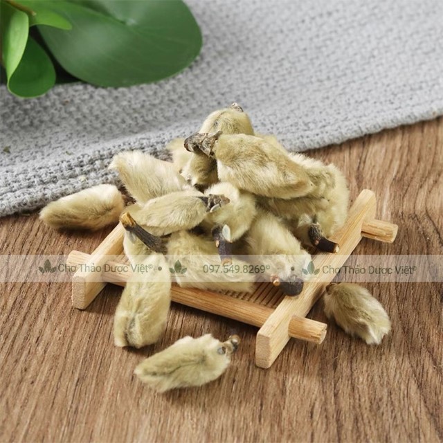 Tân di hoa thượng hạng 100g ( Nụ hoa mộc lan khô, sạch, đẹp) - Chợ Thảo Dược Việt