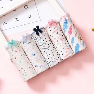 SET 5 QUẦN CHIP COTTON SIÊU KUTE