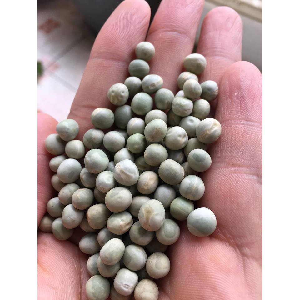 Đậu Hà Lan xanh nguyên hạt gói 200-500g