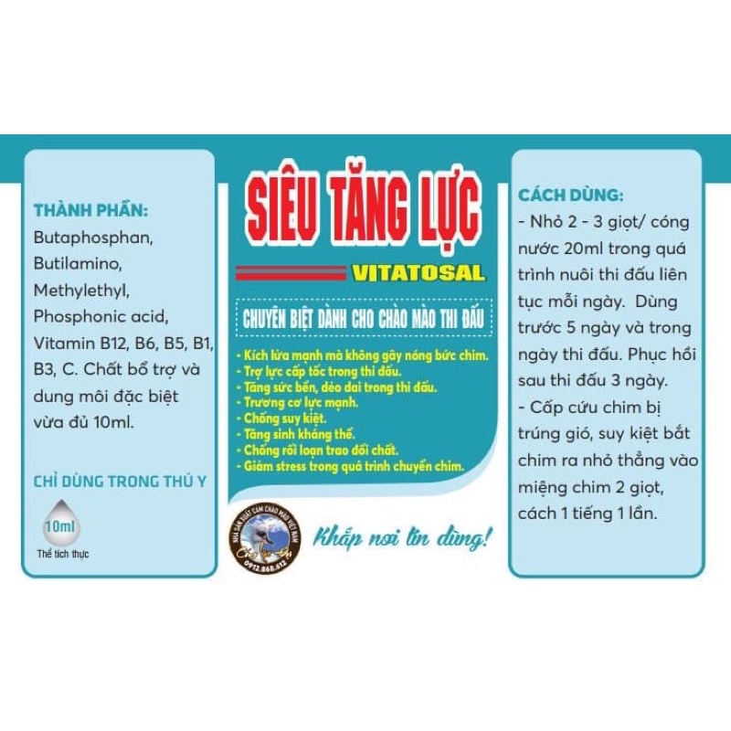 Siêu tăng lực lão đại