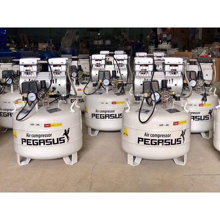 Máy Nén Khí Pegasus 0.75HP TM-OF550 - 40L