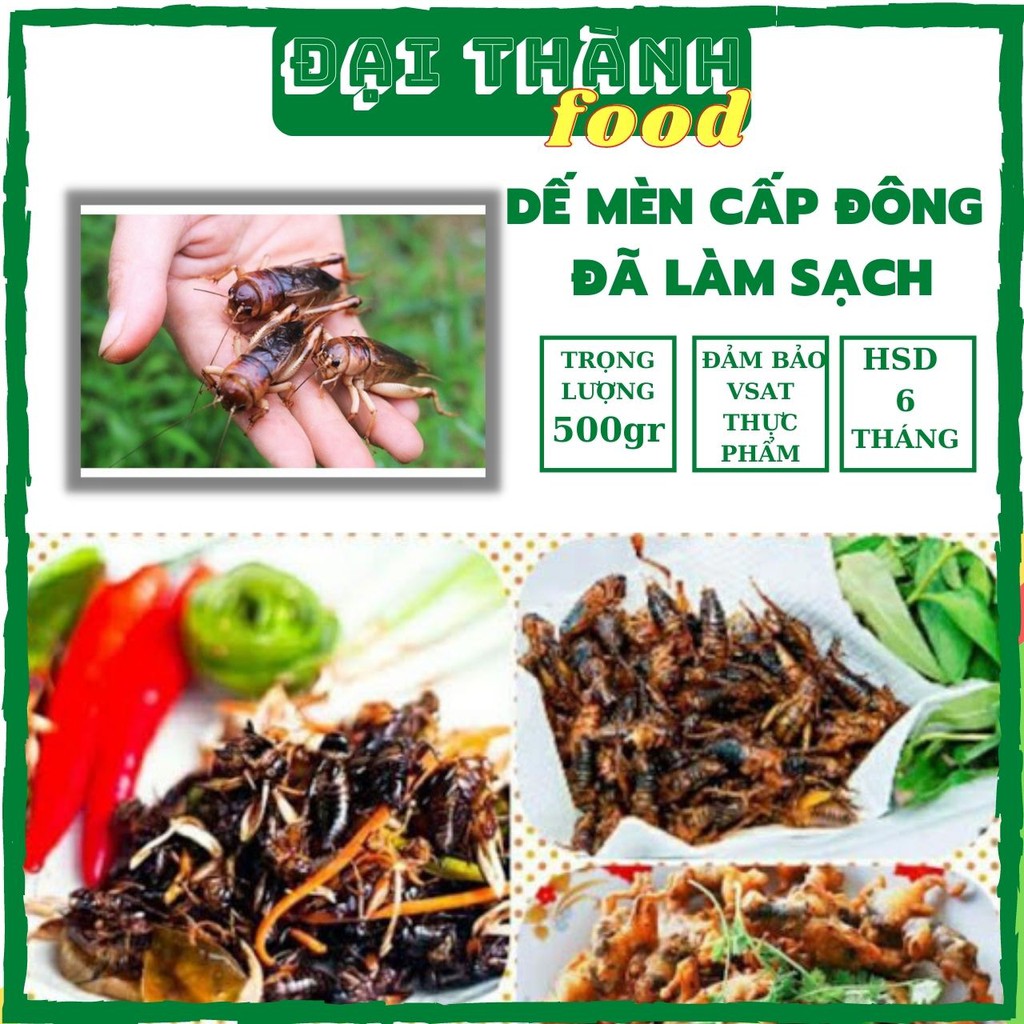 Dế mèn, dế thịt tươi đã làm sạch bảo quản lạnh, RẤT THƠM NGON, đặc sản Nguồn Trại dế Đông Anh