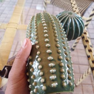 Combo 2 xương rồng sứ