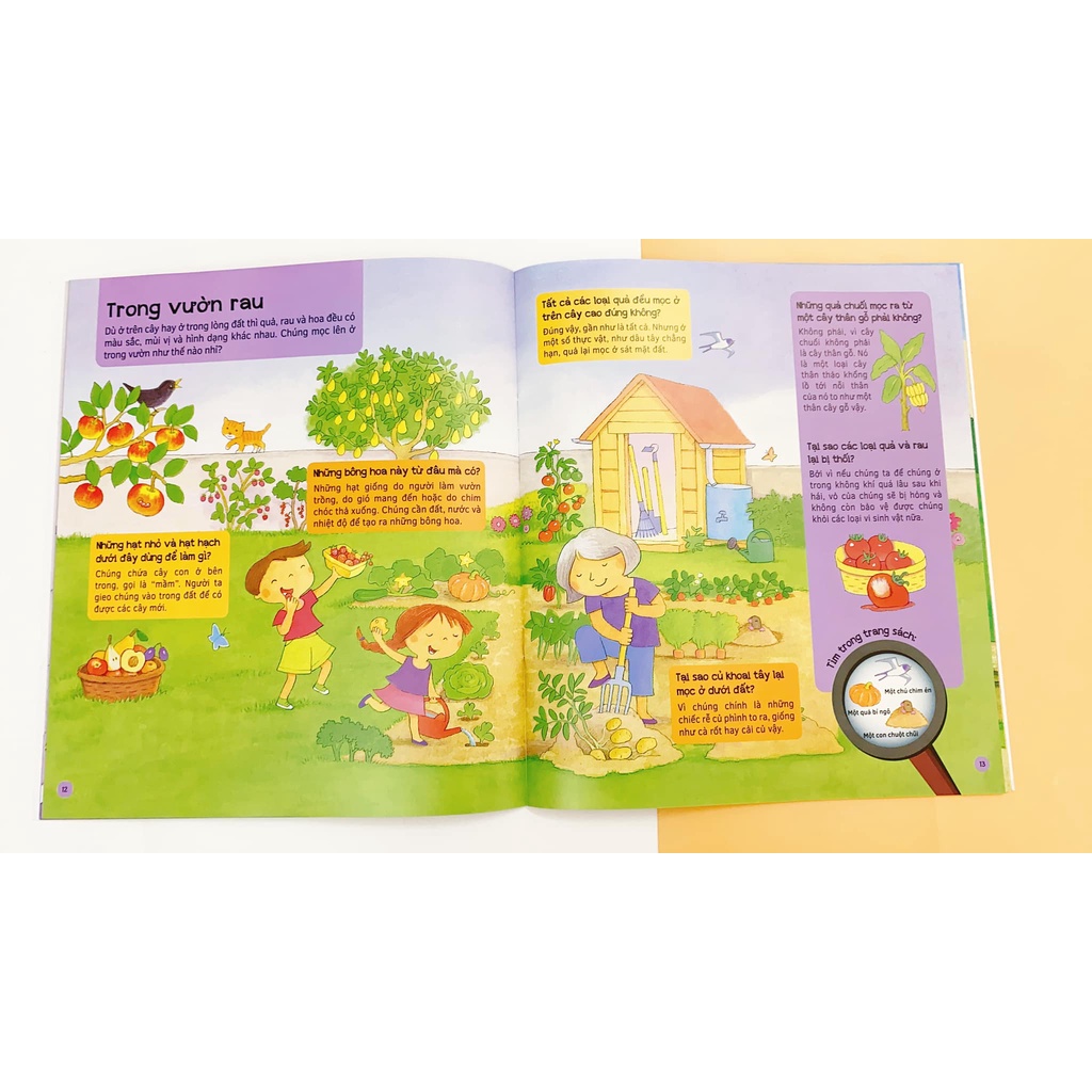 Sách - Combo 6 Tập Hỏi - Đáp giải đáp thắc mắc cho bé