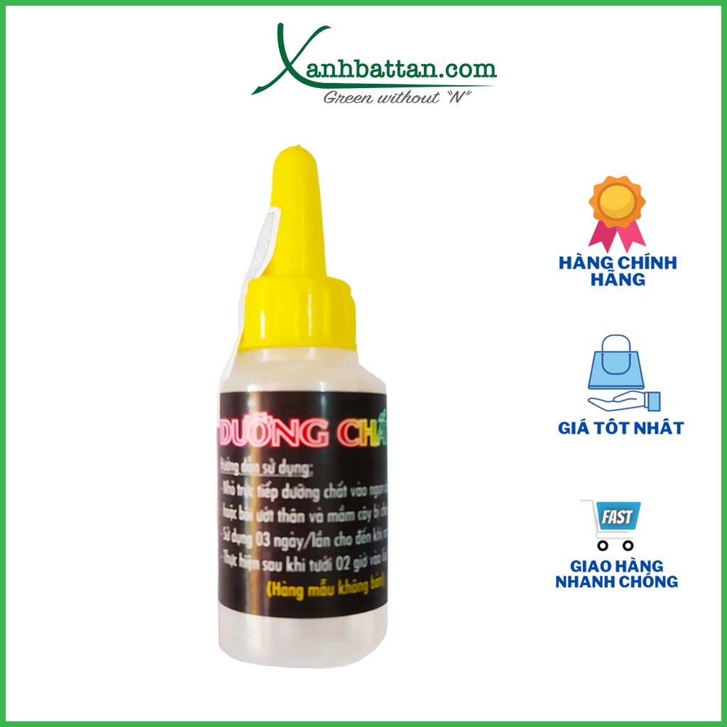 Dưỡng chất AB nuôi dưỡng mầm, kích chồi và kích kie cho phong lan 10 ml