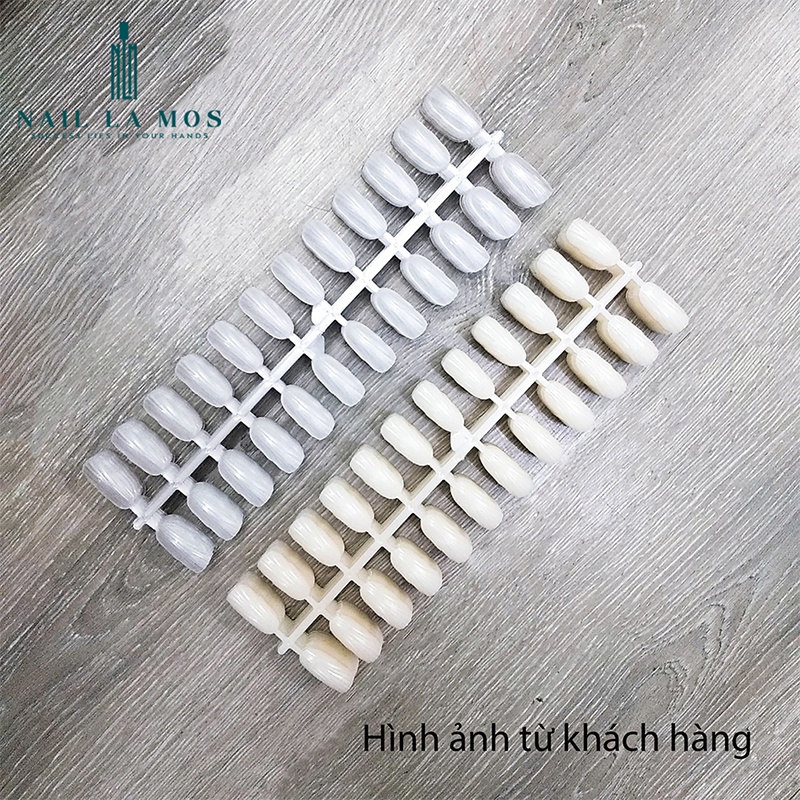 Móng mẫu vỏ sò tráng gương siêu đẹp - mỏng bẻ gắn bảng màu 1 bịch 10 vỉ 240 móng