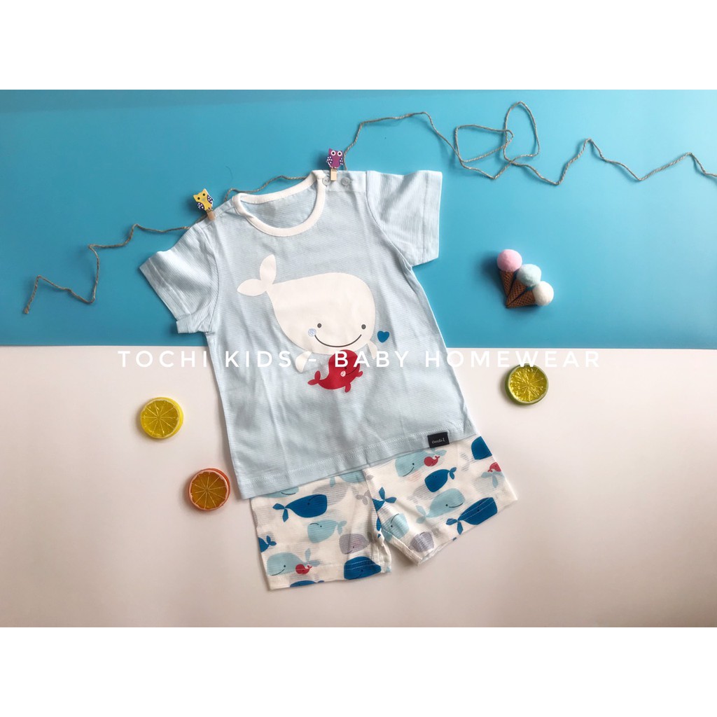 Bộ cotton giấy cộc tay bé trai Cordi-i chính hãng Hàn Quốc nhập khẩu
