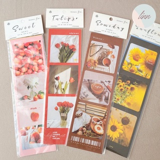 Sticker hình dán vuông nhiều chủ đề hàn quốc trang trí sổ Linn