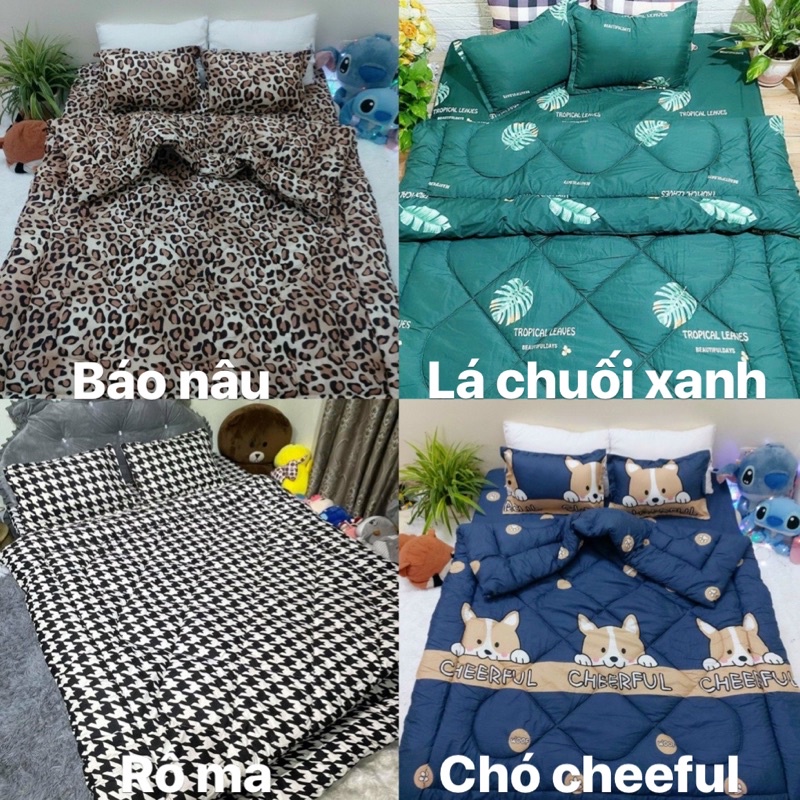 Set Chăn phao ga gối poly