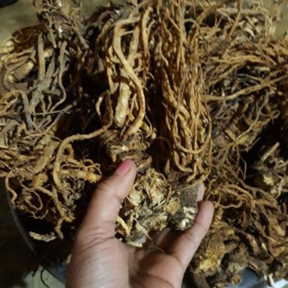 🍁🌿SÂM ĐƯƠNG QUY KHÔ 1 ký ☘️🍀