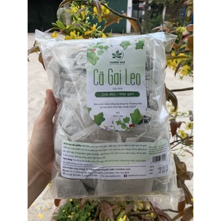 Trà túi lọc cà gai leo thương hảo