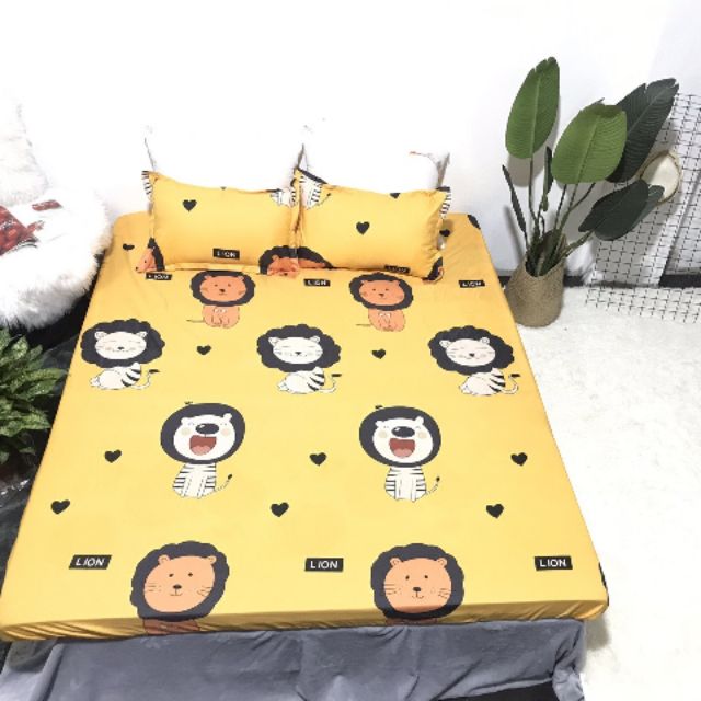 BỘ GA GỐI POLY M6/M8 MẪU Họa mi vàng, Bộ Drap nhiều mẫu (Chát chọn mẫu nha !) | BigBuy360 - bigbuy360.vn