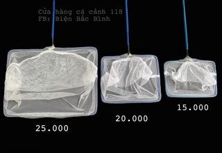 Vợt VUÔNG XANH AMAZON vớt cá tép - vợt bắt cá tép ]