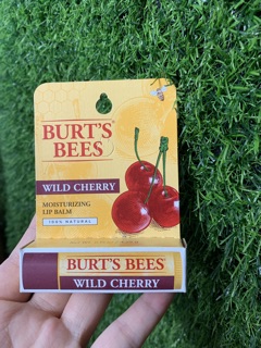 Son dưỡng môi burt's bees - mesoc