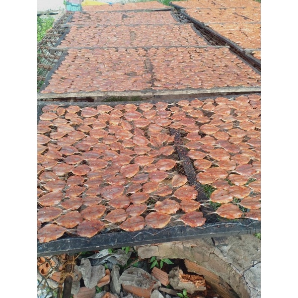 Cá chỉ vàng 2 nắng ngon chất lượng chiên nướng 500g