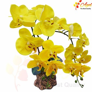 chậu lan giả cao cấp vàng
