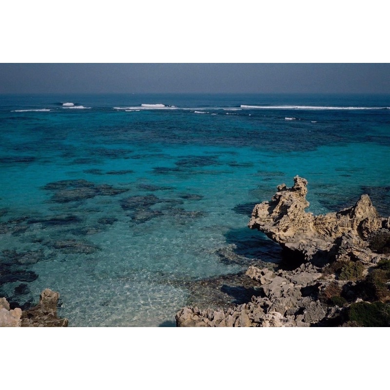 - Film 135  giá rẻ, 36 kiểu, indate 09/2025, hàng US