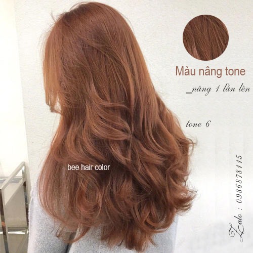 Kem Nhuộm nâng tone tóc lv6 (100m)