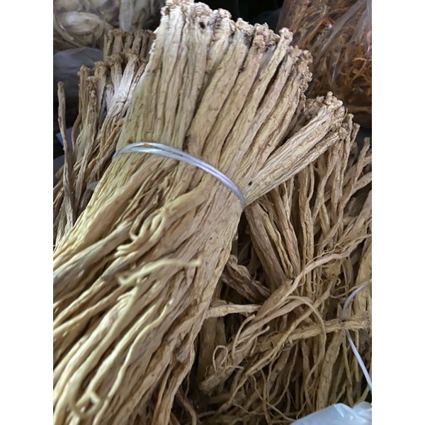 Đẳng Sâm loại 1