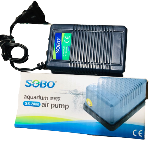 Máy oxy , máy sủi hồ cá giúp cá khoẻ mạnh