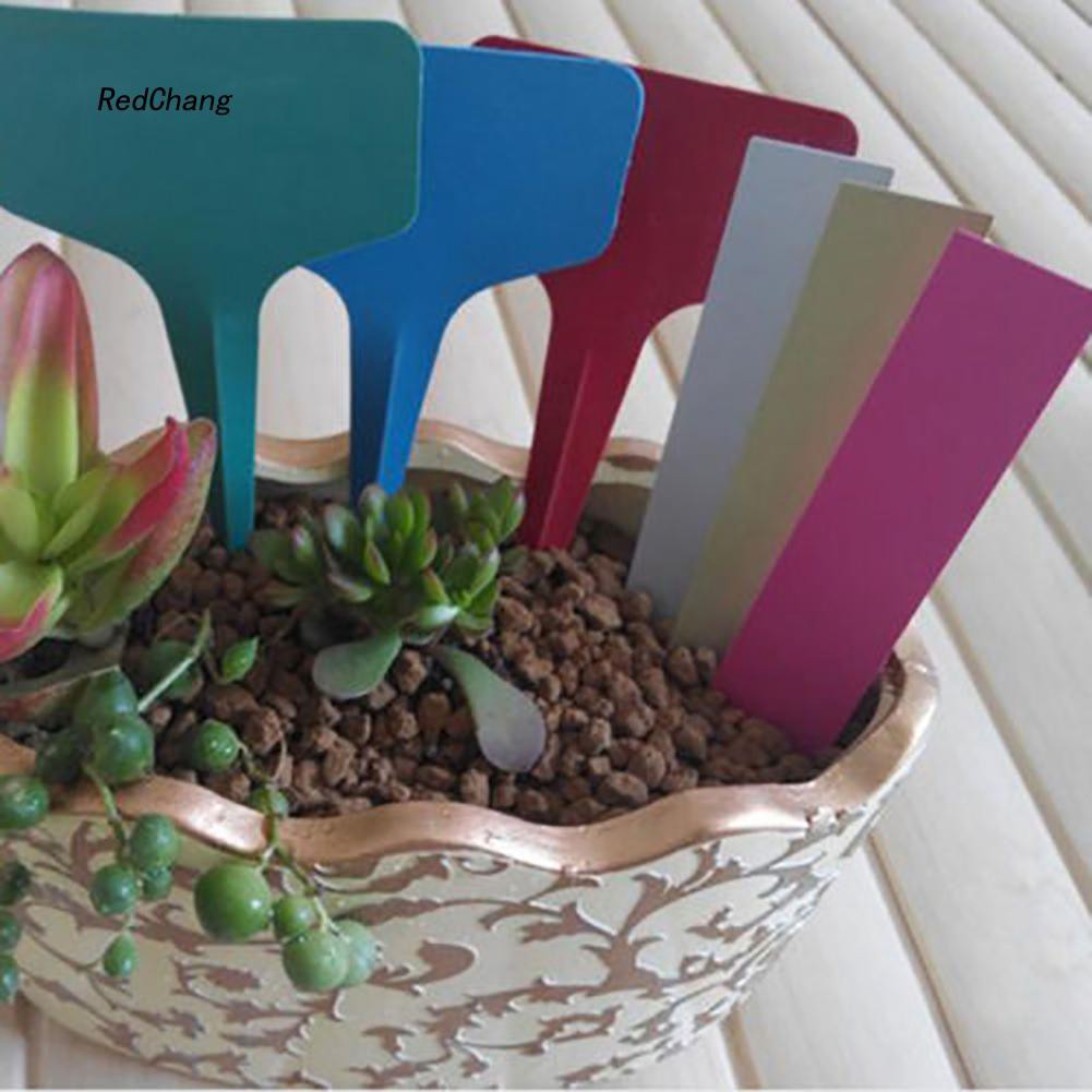 Set 100 thẻ nhựa ghi đánh dấu tên cây trồng không thấm nước tái sử dụng tiện lợi