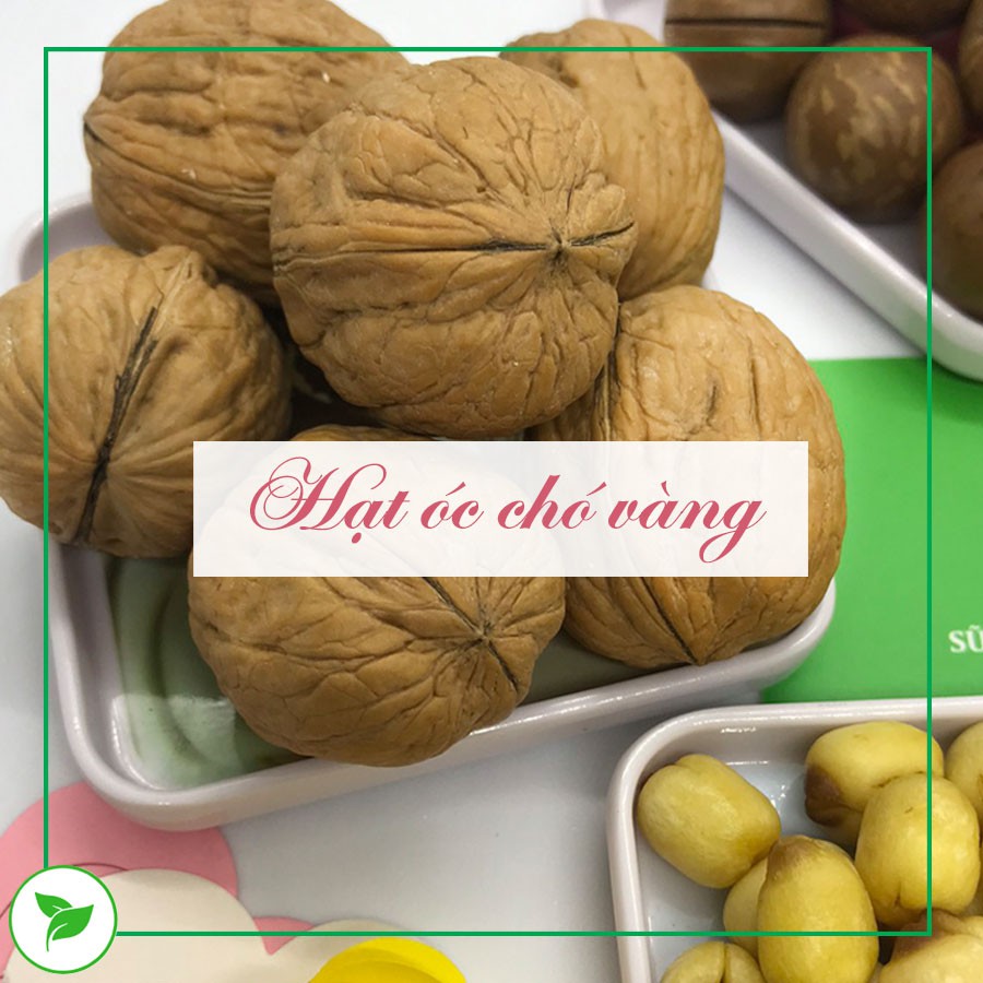 Óc Chó Mỹ, Hạt Óc Chó Vàng 100g &amp; 300g