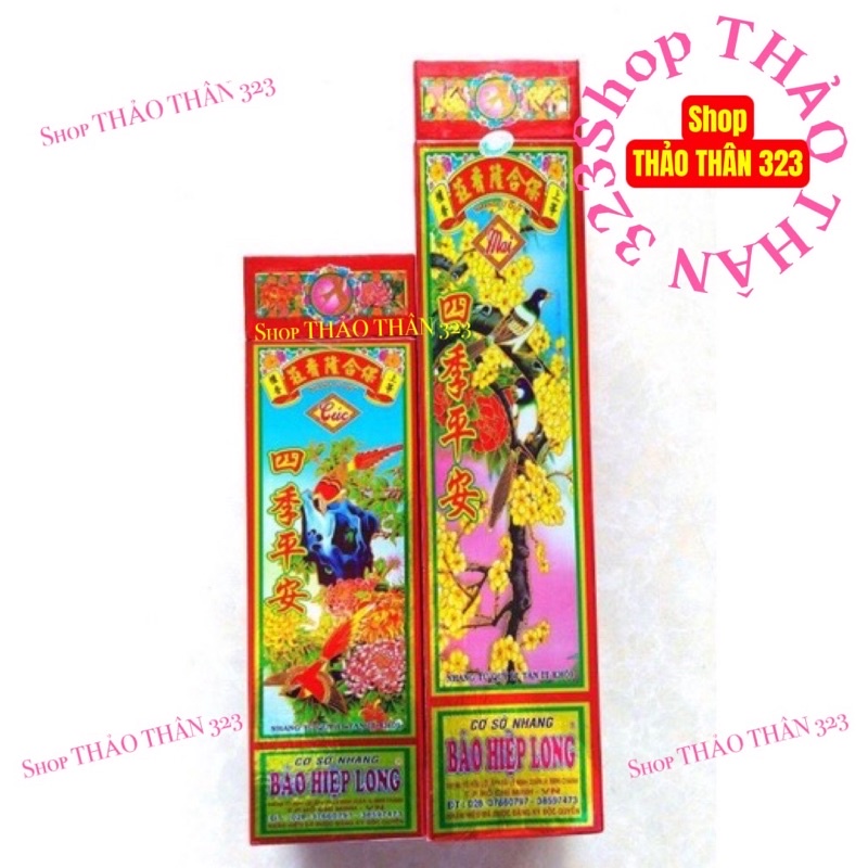 NHANG THƠM TỨ QÚY MAI LAN CÚC TRÚC 30cm, 40cm