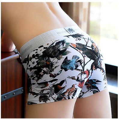 Hộp 4 Chiếc Sịp Boxer Nam Lụa Sữa Nhật Bản - Hàng Chính Hãng Sqinu SN01