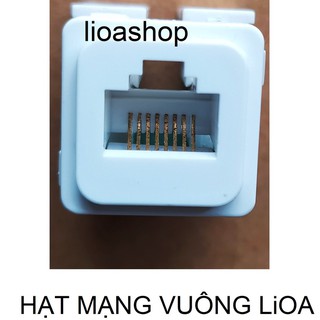 HẠT THÔNG TIN VUÔNG LiOA.