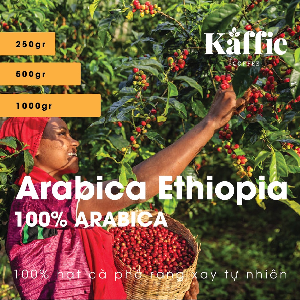 Cà phê hạt Kaffie Arabica Ethiopia