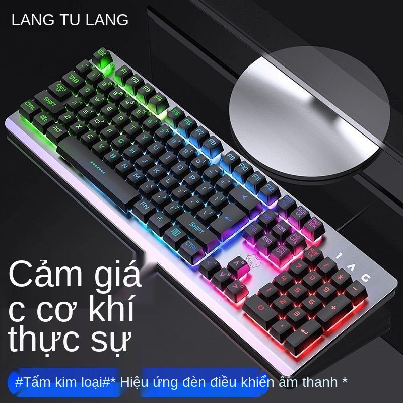 Bộ bàn phím và chuột có dây USB đèn nền máy tính trò chơi gà bên ngoài lol Văn phòng cảm giác robot nhà | BigBuy360 - bigbuy360.vn