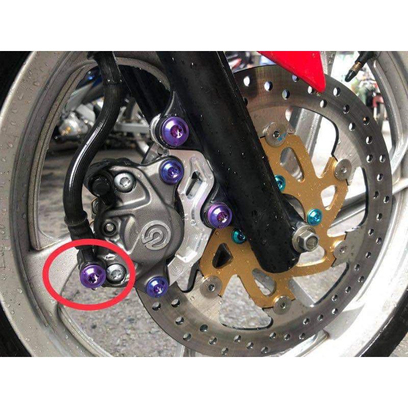 Ốc heo dầu ninsin , brembo đầu Probolt titanium GR5