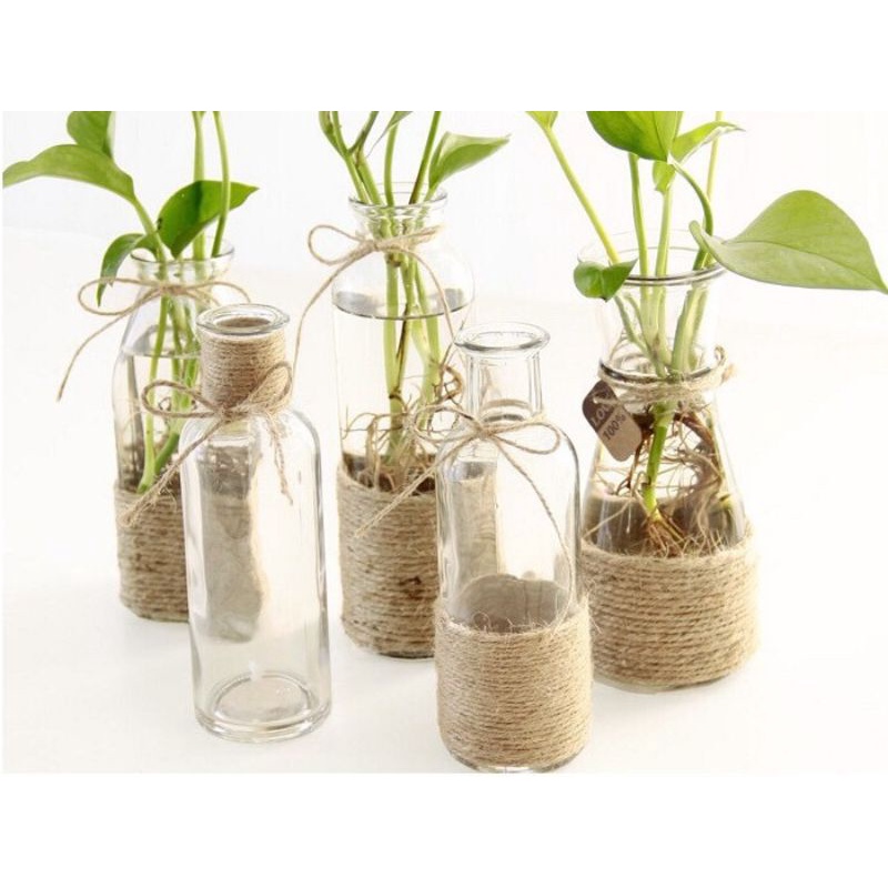 Dây thừng cuộn 100 nét