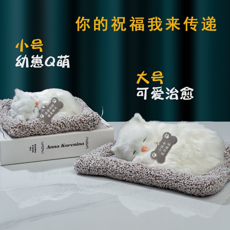Quà Tặng Sinh Nhật Nhỏ Nhắn Tùy Chỉnh Có Thể Tùy Chỉnh Quà Tặng Cho Bé Gái 18 Tuổi/Bạn Gái/Trường Học