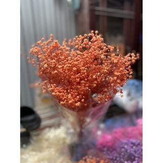 Hoa baby khô ( bó 110g)