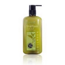 Dầu gội đầu trà xanh Hachi, chiết xuất trà xanh dành cho tóc dầu [Chính Hãng] 3size 350ml ,500ml, 800ml - Dầu gội HaChi