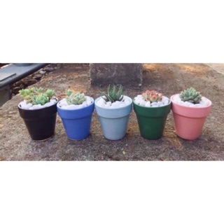 Chậu sứ mini trồng cây bát tràng siêu xinh 7cm